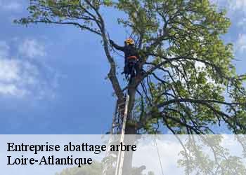 Entreprise abattage arbre Loire-Atlantique