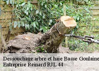 Dessouchage arbre et haie  basse-goulaine-44115 Entreprise Reinard RJL 44