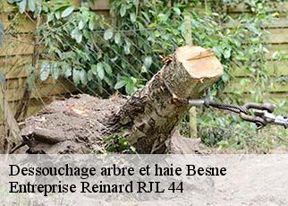 Dessouchage arbre et haie  besne-44160 Entreprise Reinard RJL 44