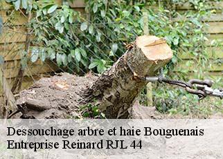 Dessouchage arbre et haie  bouguenais-44340 Entreprise Reinard RJL 44