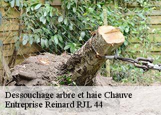 Dessouchage arbre et haie  chauve-44320 Entreprise Reinard RJL 44