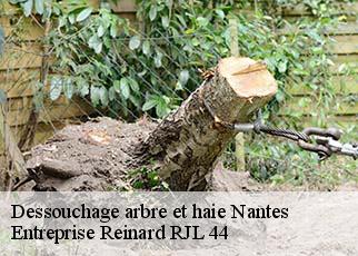 Dessouchage arbre et haie  nantes-44000 Entreprise Reinard RJL 44