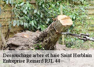 Dessouchage arbre et haie  saint-herblain-44800 Entreprise Reinard RJL 44