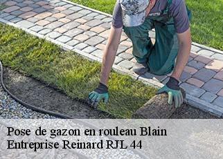 Pose de gazon en rouleau  blain-44130 Entreprise Reinard RJL 44