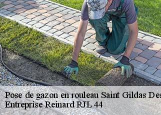 Pose de gazon en rouleau  saint-gildas-des-bois-44530 Entreprise Reinard RJL 44