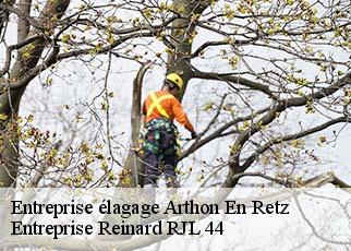 Entreprise élagage  arthon-en-retz-44320 Entreprise Reinard RJL 44