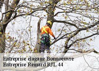 Entreprise élagage  bonnoeuvre-44540 Entreprise Reinard RJL 44