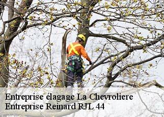Entreprise élagage  la-chevroliere-44118 Entreprise Reinard RJL 44