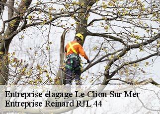 Entreprise élagage  le-clion-sur-mer-44210 Entreprise Reinard RJL 44