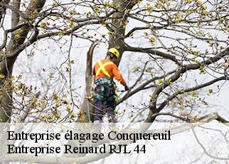 Entreprise élagage  conquereuil-44290 Entreprise Reinard RJL 44