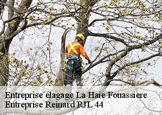 Entreprise élagage  la-haie-fouassiere-44690 Entreprise Reinard RJL 44