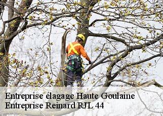 Entreprise élagage  haute-goulaine-44115 Entreprise Reinard RJL 44