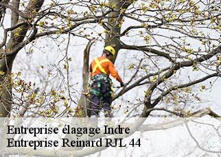 Entreprise élagage  indre-44610 Entreprise Reinard RJL 44