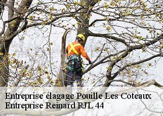 Entreprise élagage  pouille-les-coteaux-44522 Entreprise Reinard RJL 44