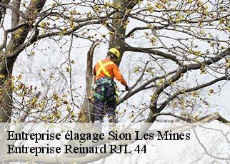 Entreprise élagage  sion-les-mines-44590 Entreprise Reinard RJL 44