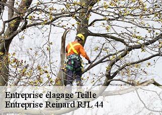 Entreprise élagage  teille-44440 Entreprise Reinard RJL 44