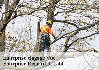 Entreprise élagage  vue-44640 Entreprise Reinard RJL 44