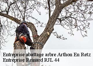 Entreprise abattage arbre  arthon-en-retz-44320 Entreprise Reinard RJL 44