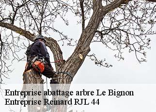 Entreprise abattage arbre  le-bignon-44140 Entreprise Reinard RJL 44
