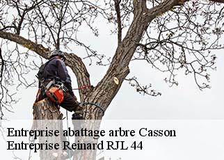 Entreprise abattage arbre  casson-44390 Entreprise Reinard RJL 44