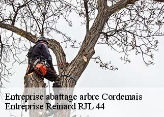 Entreprise abattage arbre  cordemais-44360 Entreprise Reinard RJL 44