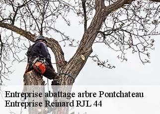 Entreprise abattage arbre  pontchateau-44160 Entreprise Reinard RJL 44