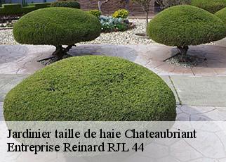 Jardinier taille de haie  chateaubriant-44110 Entreprise Reinard RJL 44