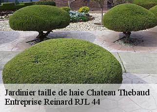 Jardinier taille de haie  chateau-thebaud-44690 Entreprise Reinard RJL 44