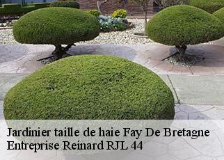 Jardinier taille de haie  fay-de-bretagne-44130 Entreprise Reinard RJL 44