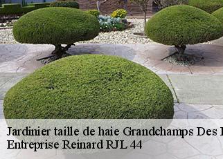 Jardinier taille de haie  grandchamps-des-fontaines-44119 Entreprise Reinard RJL 44
