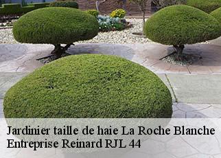 Jardinier taille de haie  la-roche-blanche-44522 Entreprise Reinard RJL 44
