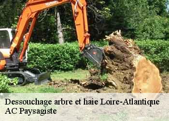 Dessouchage arbre et haie