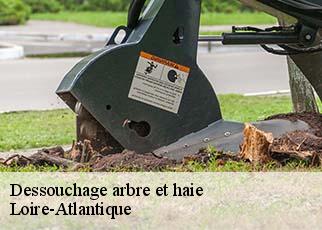 Dessouchage arbre et haie Loire-Atlantique 