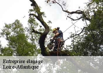 Entreprise élagage Loire-Atlantique