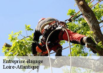 Entreprise élagage Loire-Atlantique