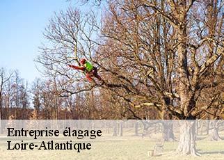 Entreprise élagage Loire-Atlantique 