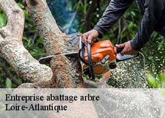 Entreprise abattage arbre Loire-Atlantique 