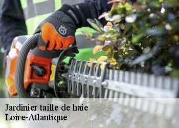 Jardinier taille de haie Loire-Atlantique 