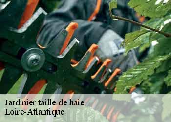 Jardinier taille de haie