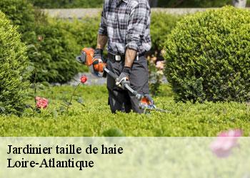 Jardinier taille de haie Loire-Atlantique 