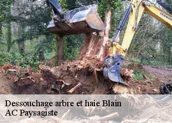 Dessouchage arbre et haie 44130