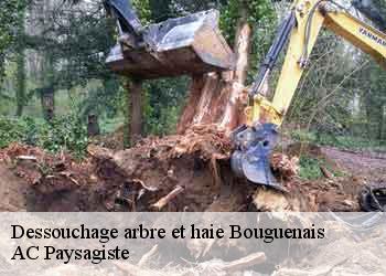 Dessouchage arbre et haie 44340