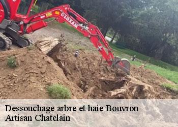 Dessouchage arbre et haie bouvron-44130 Artisan Chatelain