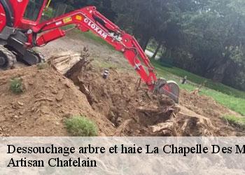 Dessouchage arbre et haie la-chapelle-des-marais-44410 Artisan Chatelain