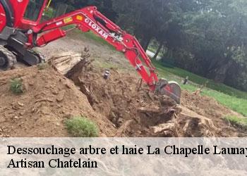 Dessouchage arbre et haie  la-chapelle-launay-44260 Artisan Chatelain 