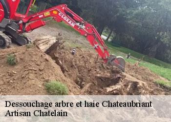 Dessouchage arbre et haie chateaubriant-44110 Artisan Chatelain