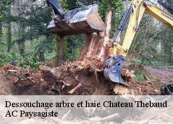 Dessouchage arbre et haie 44690