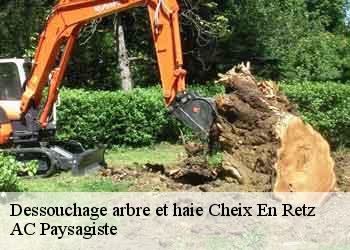 Dessouchage arbre et haie