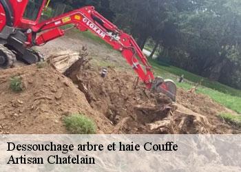 Dessouchage arbre et haie  couffe-44521 Artisan Chatelain 