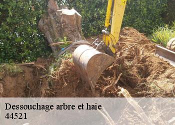 Dessouchage arbre et haie  44521